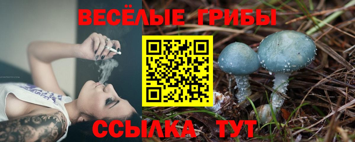 Галлюциногенные грибы Psilocybine cubensis Владикавказ