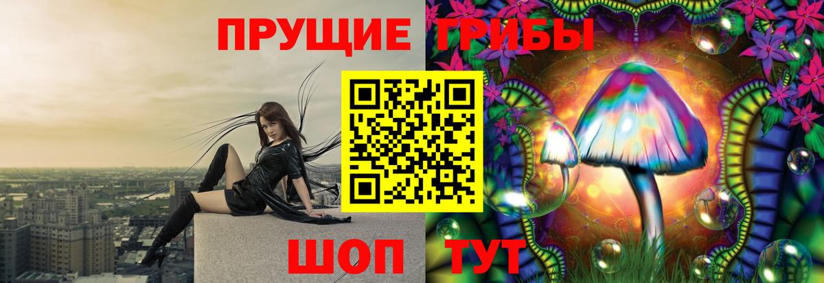 Владикавказ  Галлюциногенные грибы прущие грибы  закладка  Галлюциногенные грибы Cubensis  Вход с VPN 